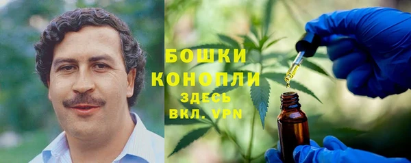 гашик Богородск