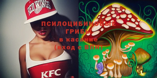 гашик Богородск