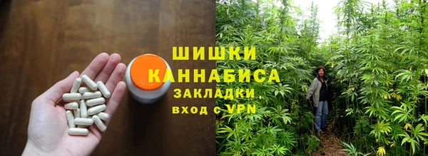 гашик Богородск