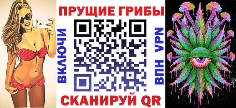 Галлюциногенные грибы Psilocybe купить Кирово-Чепецк